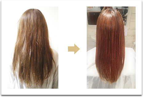 復活トリートメント ビフォーアフター