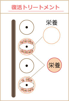 復活トリートメント