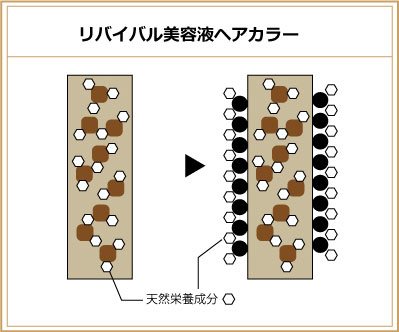 リバイバル美容液 ヘアカラー