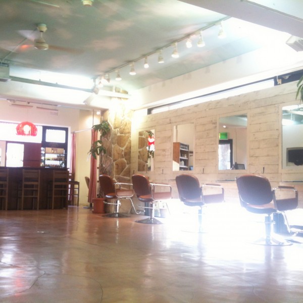 陽の光が入ります