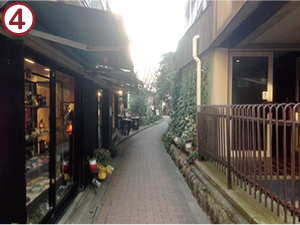 雰囲気のあるブラームスの小路