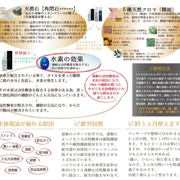 ラウムスタインボディ2