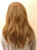 フェアリーウェーブ 後ろ