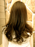 プチモード 後ろ