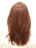 グロスカール 後ろ