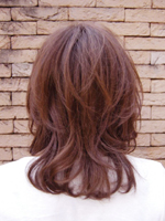 ソフトレイヤー 後ろ