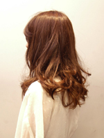 ウォームミディアム 左後ろ