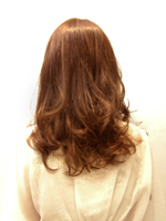 ウォームミディアム 後ろ