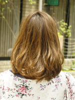 ハニーカール 後ろ