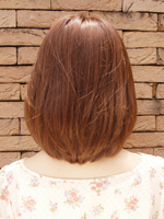 ボブカール 後ろ