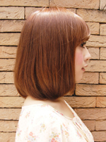 ボブカール 右