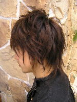 サイドシェイプ 左