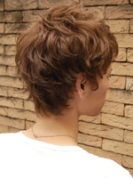 シェイド 右斜め