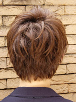 ビーツショート 後ろ