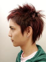 レッドウィング 左