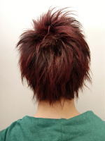 レッドウィング 後ろ