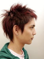 レッドウィング 右