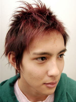 レッドウィング