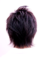 ウイングフライ 後ろ