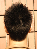 スッキリショート! 後ろ