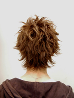 ワイルドショート 後ろ