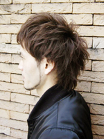 デッレアルピ 左