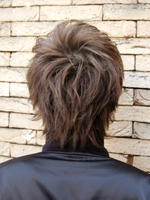 デッレアルピ 後ろ