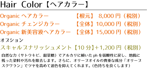 singlemenu01
