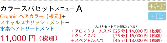 specialmenu01