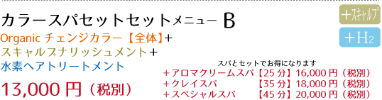 specialmenu02