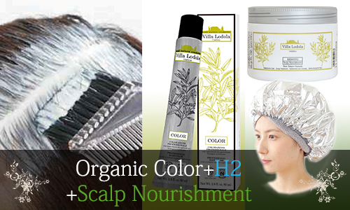 organic-set