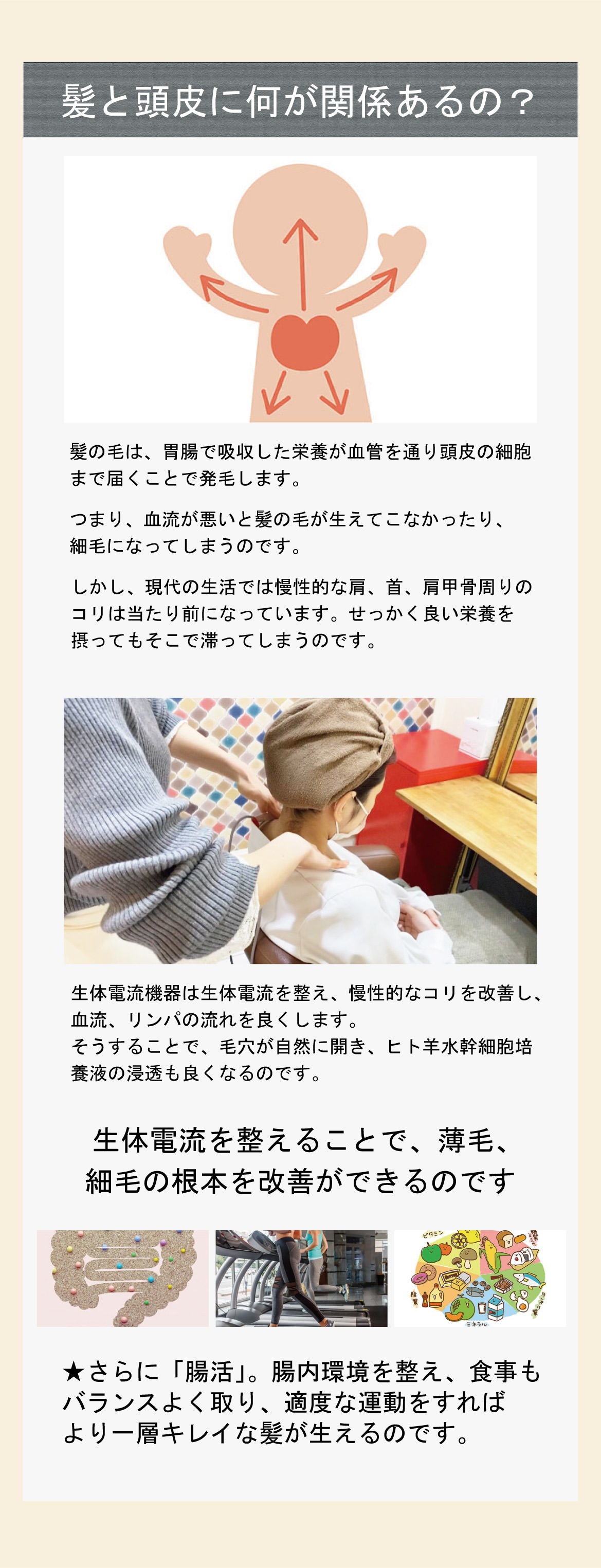 髪と頭皮に何が関係あるの？髪の毛は、胃腸で吸収した栄養が血管を通り頭皮の細胞つまり、血流が悪いと髪の毛が生えてこなかったり、細毛になってしまうのです。まで届くことで発毛します。しかし、現代の生活では慢性的な肩、首、肩甲骨周りのコリは当たり前になっています。せっかく良い栄養を摂ってもそこで滞ってしまうのです。生体電流機器は生体電流を整え、慢性的なコリを改善し、血流、リンパの流れを良くします。そうすることで、毛穴が自然に開き、ヒト羊水幹細胞培養液の浸透も良くなるのです。生体電流を整えることで、薄毛、細毛の根本を改善ができるのです。★さらに「腸活」。腸内環境を整え、食事もバランスよく取り、適度な運動をすればより一層キレイな髪が生えるのです。