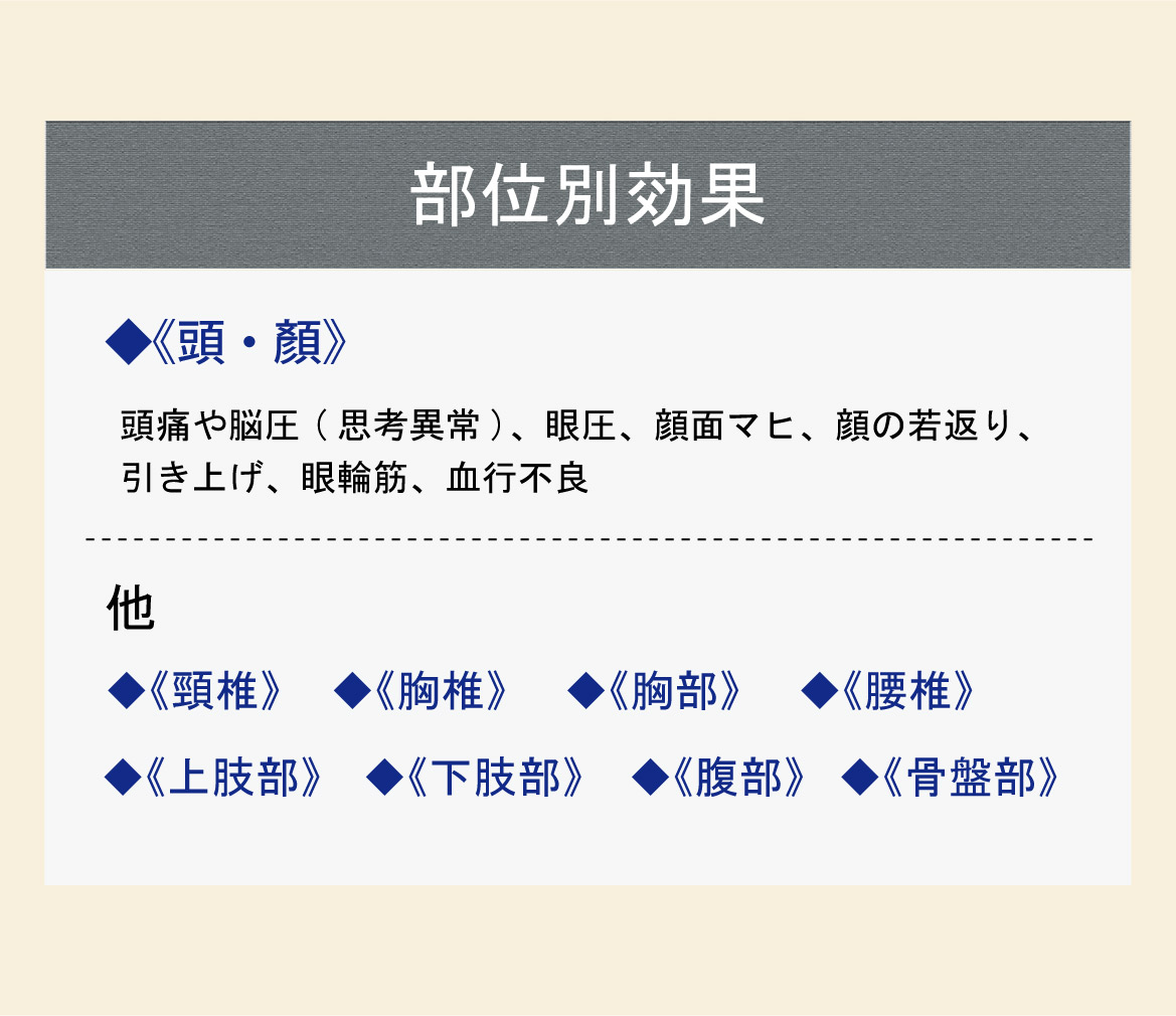 部位別効果。◆《頭・顏》頭痛や脳圧(思考異常)、眼圧、顔面マヒ、顔の若返り、引き上げ、眼輪筋、血行不良。他 ◆《頸椎》　◆《胸椎》　◆《胸部》　◆《腰椎》　◆《上肢部》　◆《下肢部》　◆《腹部》　◆《骨盤部》