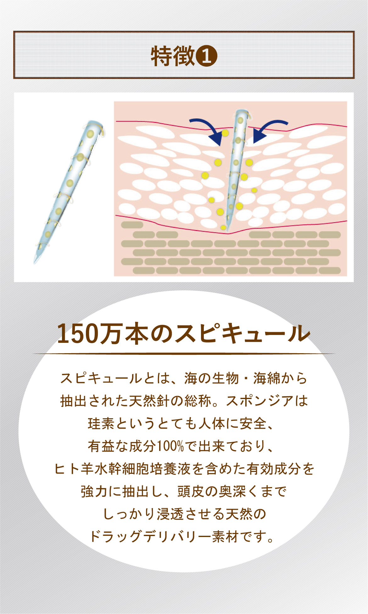 特徴❶150万本のスピキュール スピキュールとは、海の生物・海綿から抽出された天然針の総称。スポンジアは珪素というとても人体に安全、有益な成分100%で出来ており、ヒト羊水幹細胞培養液を含めた有効成分を強力に抽出し、頭皮の奥深くまでしっかり浸透させる天然のドラッグデリバリー素材です。