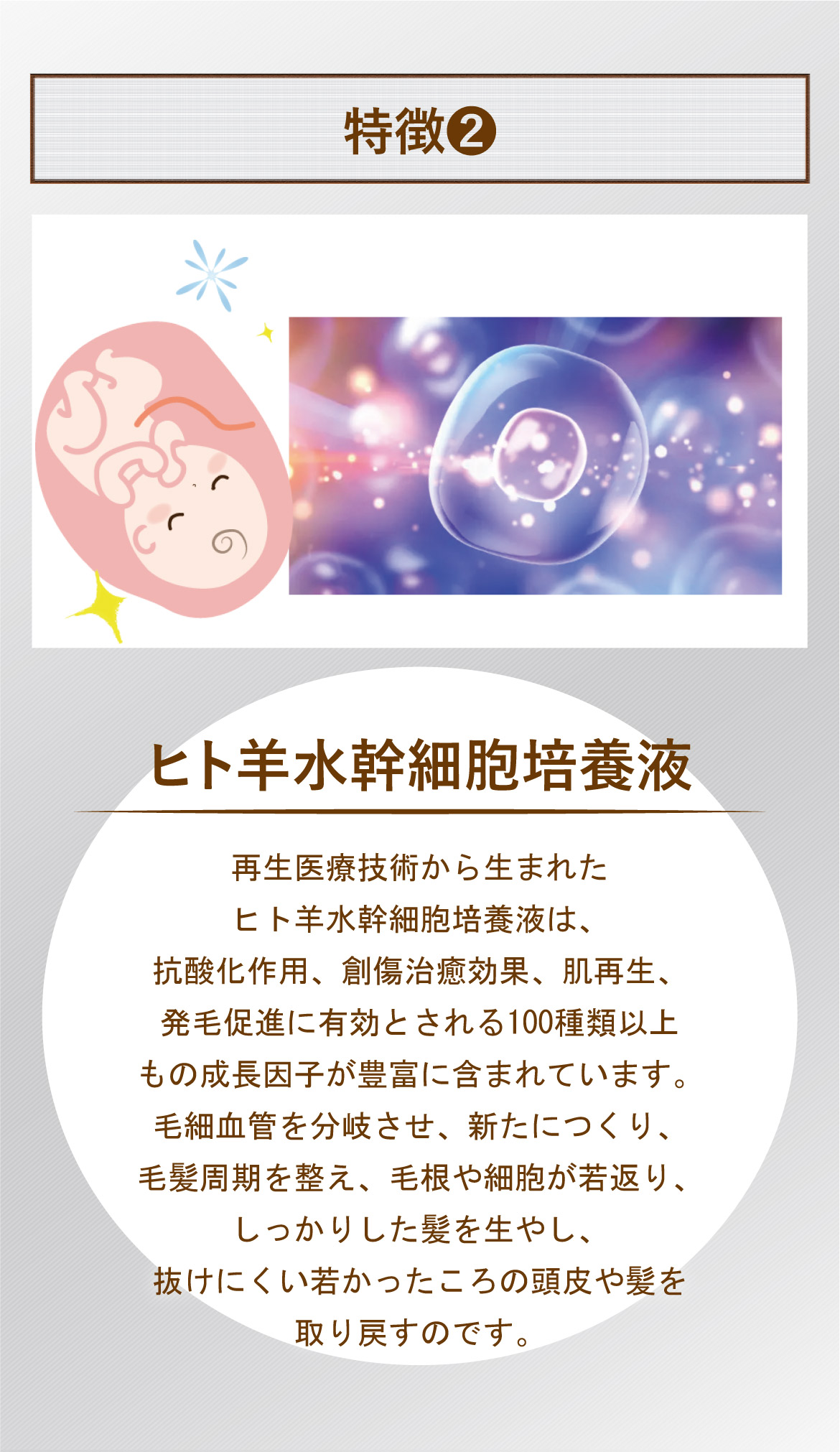 特徴❷ヒト羊水幹細胞培養液 再生医療技術から生まれたヒト羊水幹細胞培養液は、抗酸化作用、創傷治癒効果、肌再生、発毛促進に有効とされる100種類以上もの成長因子が豊富に含まれています。毛細血管を分岐させ、新たにつくり、毛髪周期を整え、毛根や細胞が若返り、しっかりした髪を生やし、抜けにくい若かったころの頭皮や髪を取り戻すのです。