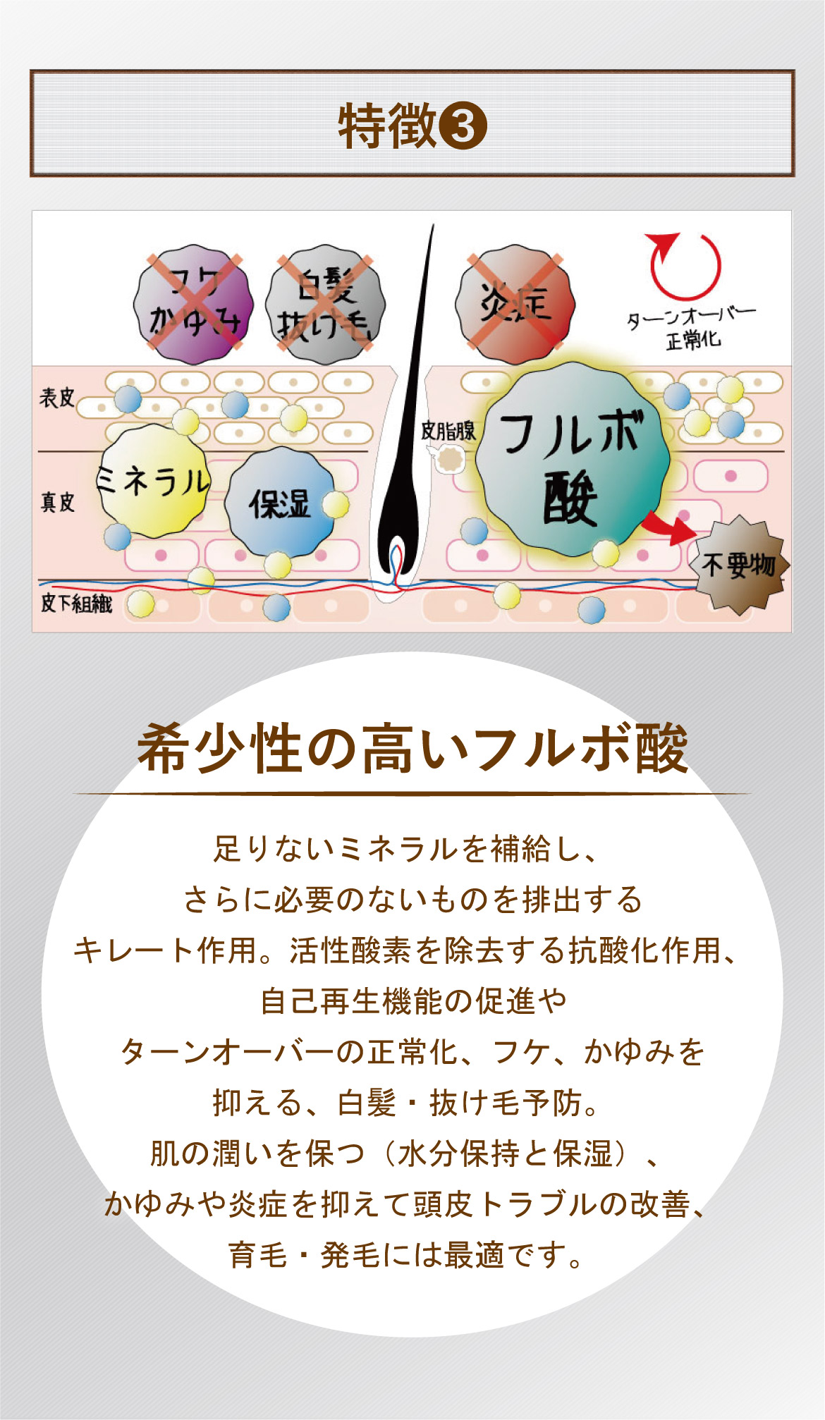 特徴❸希少性の高いフルボ酸 足りないミネラルを補給し、さらに必要のないものを排出するキレート作用。活性酸素を除去する抗酸化作用、自己再生機能の促進やターンオーバーの正常化、フケ、かゆみを抑える、白髪・抜け毛予防。肌の潤いを保つ（水分保持と保湿）、かゆみや炎症を抑えて頭皮トラブルの改善、育毛・発毛には最適です。