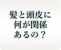 髪と頭皮に何が関係あるの？