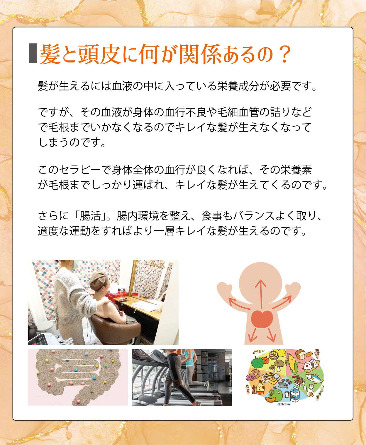 髪と頭皮に何が関係あるの？髪が生えるには血液の中に入っている栄養成分が必要です。ですが、その血液が身体の血行不良や毛細血管の詰りなどで毛根までいかなくなるのでキレイな髪が生えなくなってしまうのです。このセラピーで身体全体の血行が良くなれば、その栄養素が毛根までしっかり運ばれ、キレイな髪が生えてくるのです。さらに「腸活」。腸内環境を整え、食事もバランスよく取り、適度な運動をすればより一層キレイな髪が生えるのです。