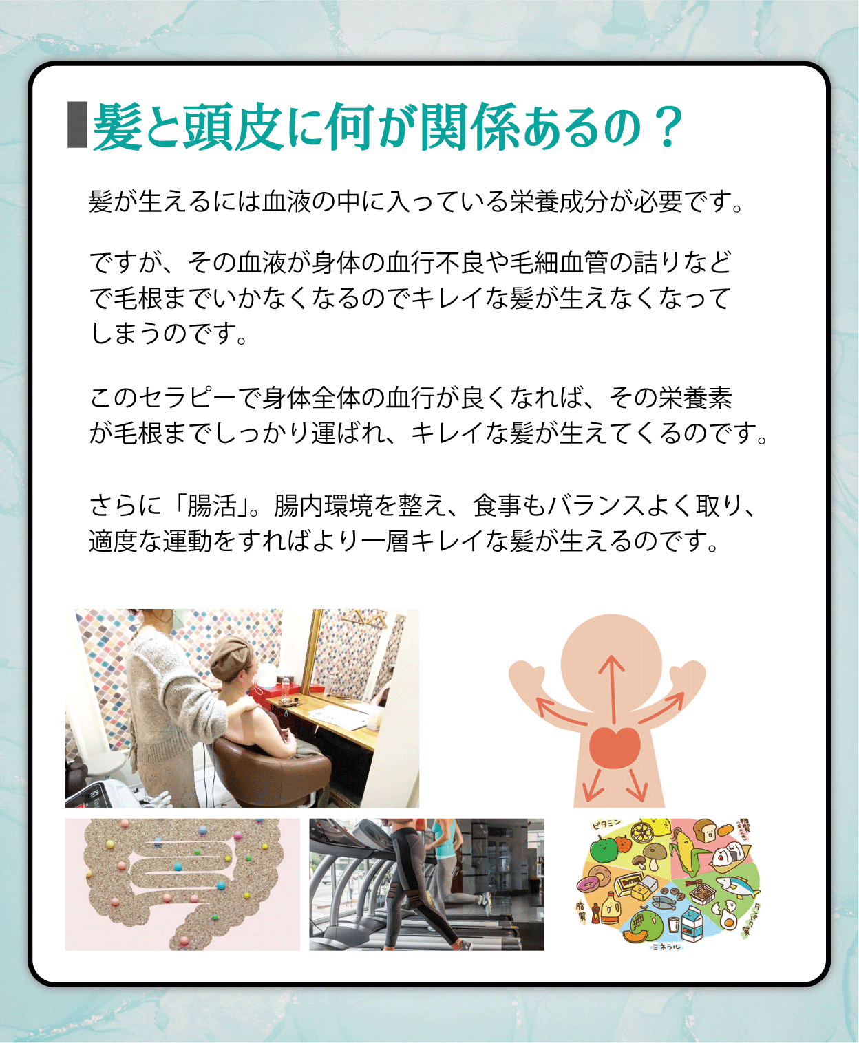 髪と頭皮に何が関係あるの？髪が生えるには血液の中に入っている栄養成分が必要です。ですが、その血液が身体の血行不良や毛細血管の詰りなどで毛根までいかなくなるのでキレイな髪が生えなくなってしまうのです。このセラピーで身体全体の血行が良くなれば、その栄養素が毛根までしっかり運ばれ、キレイな髪が生えてくるのです。さらに「腸活」。腸内環境を整え、食事もバランスよく取り、適度な運動をすればより一層キレイな髪が生えるのです。