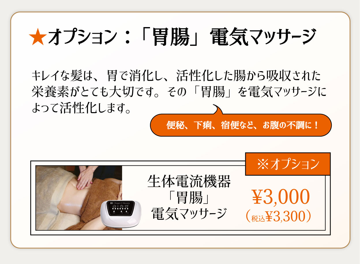 ★オプション：「胃腸」電気マッサージ キレイな髪は、胃で消化し、活性化した腸から吸収された栄養素がとても大切です。その「胃腸」を電気マッサージによって活性化します。便秘、下痢、宿便など、お腹の不調に！¥3,000（税込¥3,300）