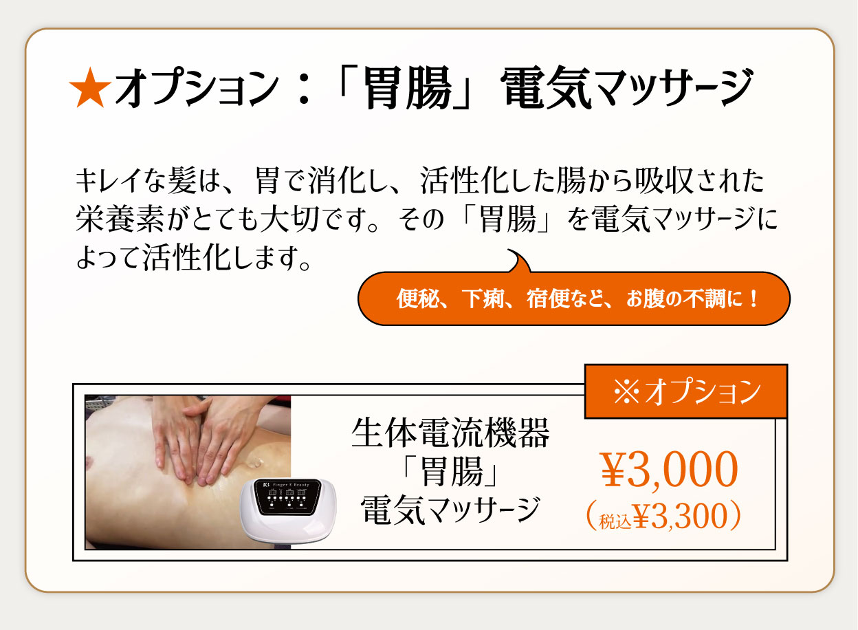 ★オプション：「胃腸」電気マッサージ キレイな髪は、胃で消化し、活性化した腸から吸収された栄養素がとても大切です。その「胃腸」を電気マッサージによって活性化します。便秘、下痢、宿便など、お腹の不調に！¥3,000（税込¥3,300）